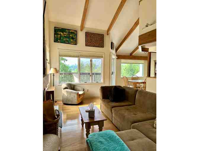 One Week in a Vermont Condo - Sleeps 10