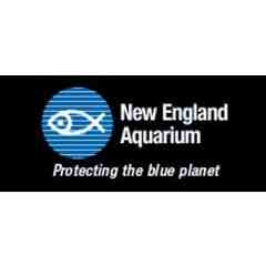 New England Aquarium