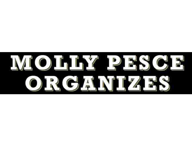 3 hours with mollyorganizes
