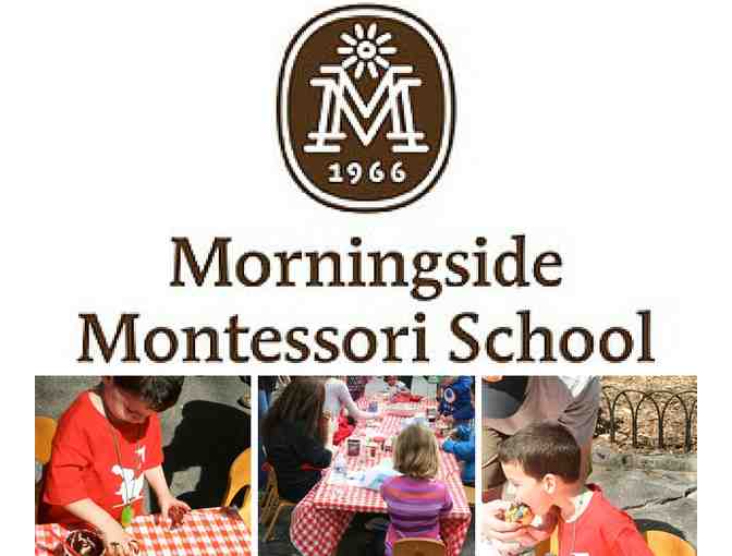 $250 Voucher Toward Morningside Montessori Summer of Science 2020