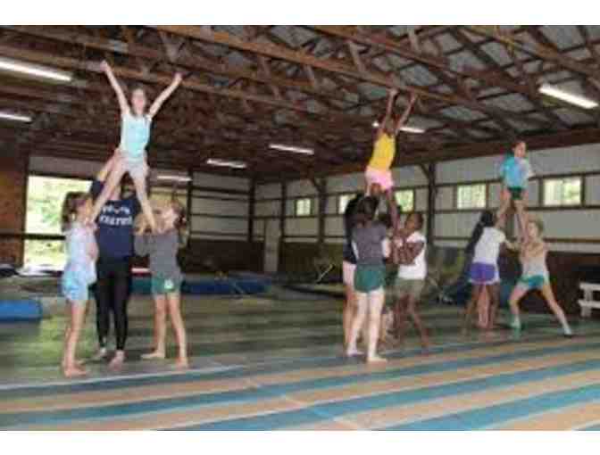 Camp Netimus: Voucher for 50% off 2-week Summer Sessions