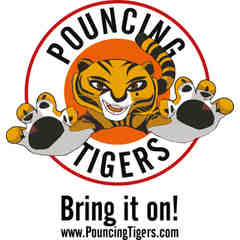 Pouncing Tigers Martial Arts for Children