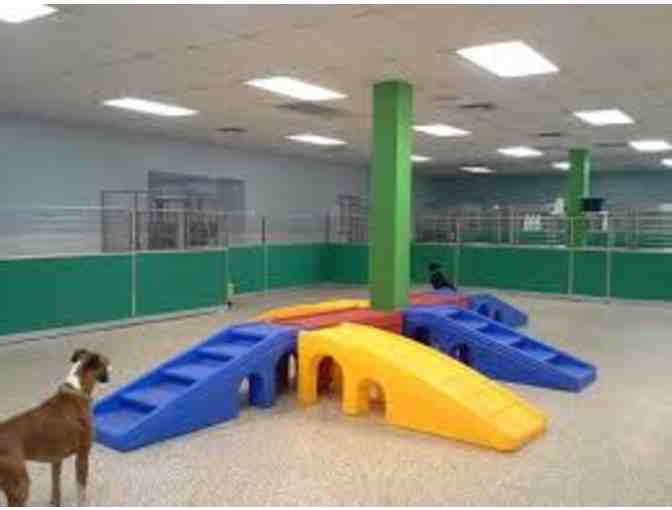 Boarding Voucher - 2 Night Stay for you dog or cat upto $78 value