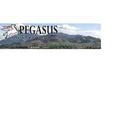 Pegasus Bicycle Works
