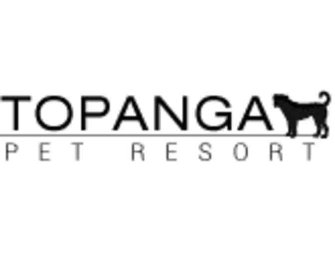 Topanga Pet Resort 2 Days of Dog Boarding
