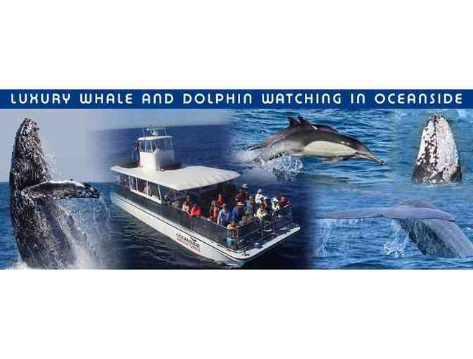 Whale Watching Date Package for Two