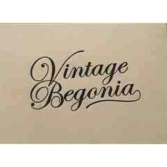 Vintage Begonia