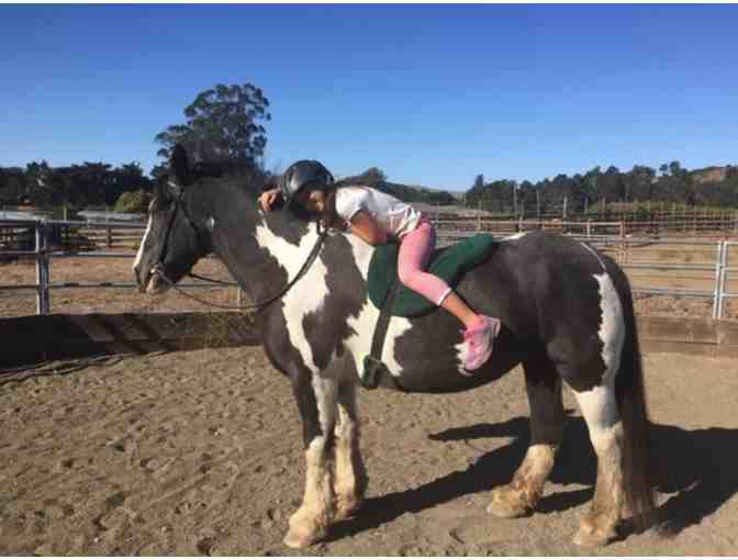 Two Riding Lessons - Connecting With Horses