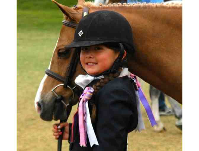 Makoto Farms - 6 Group Horseback Riding Lessons