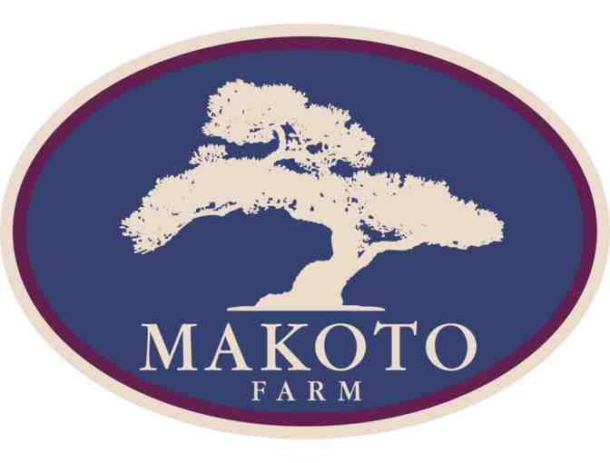 Makoto Farms - 6 Group Horseback Riding Lessons