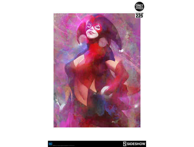 Gotham Sirens Artist Series Portfolio Art Prints
