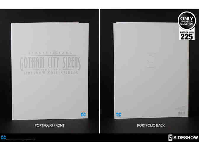 Gotham Sirens Artist Series Portfolio Art Prints