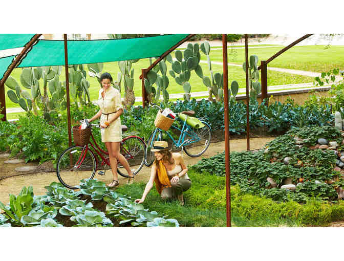 ( 2 ) Nights @ JW Marriott Desert Ridge Resort & Spa + Breakfast for Two