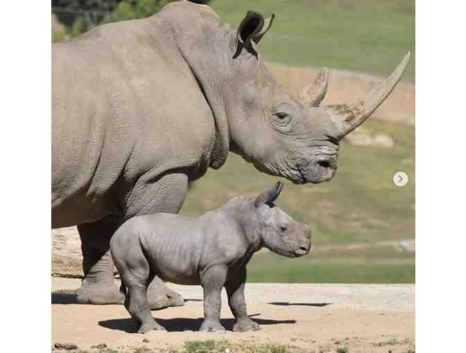 Caravan Safari Adventure (w/Park Admission) + ( 2 ) Night Stay!