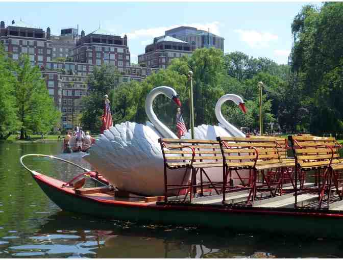 10 Tickets for the Swan Boats