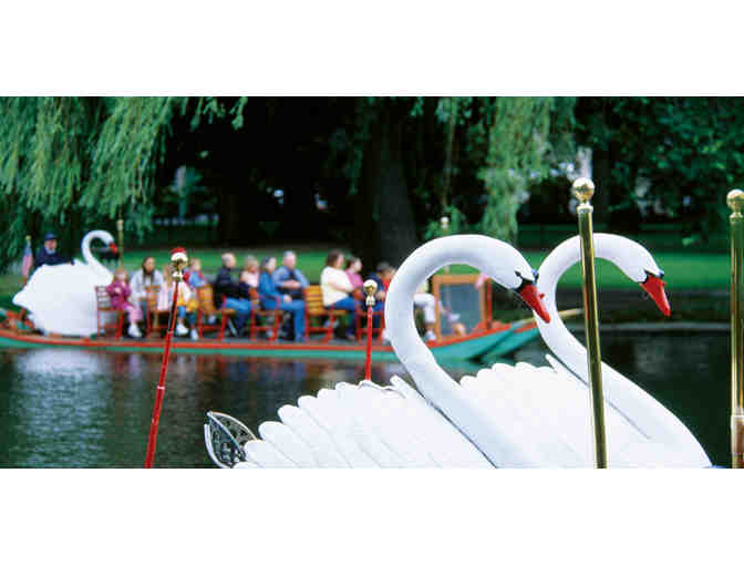 Family Fun for Everyone