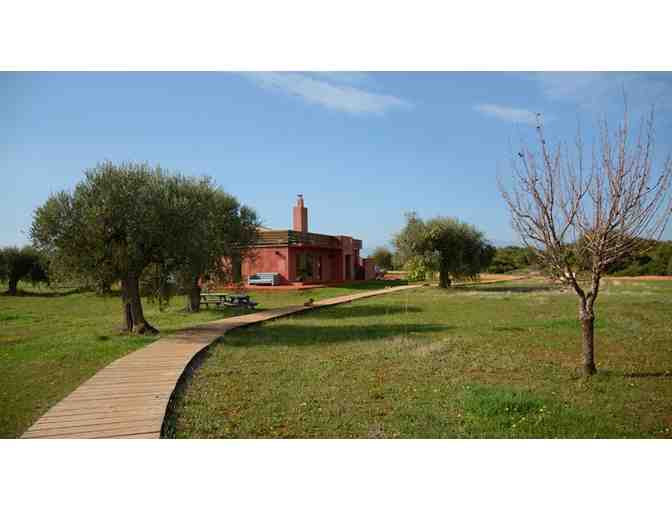 Weekend Stay at Organic Agrotourism Farm in Laconia, Greece