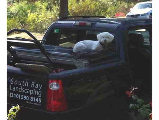 Eco Concepts $200 Yard, Landscaping or Outside Living Space Coupon