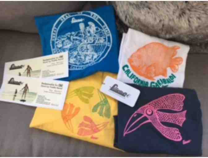 Poseidon - 2 Paddle Board Day Rentals and Gear