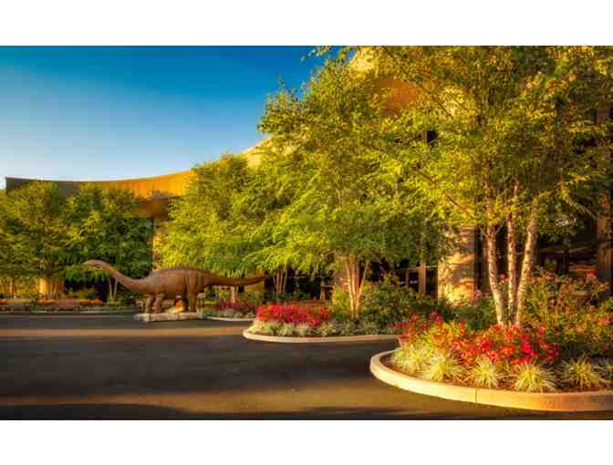 Ark Encounter and Creation Museum