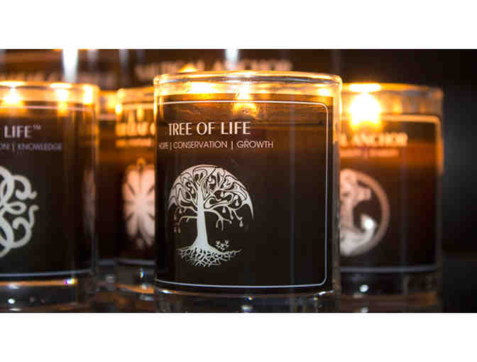 Alex and Ani earrings, candle, and body products!