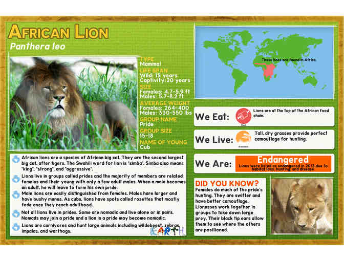 Southwick's Zoo and Hampton Inn of Franklin