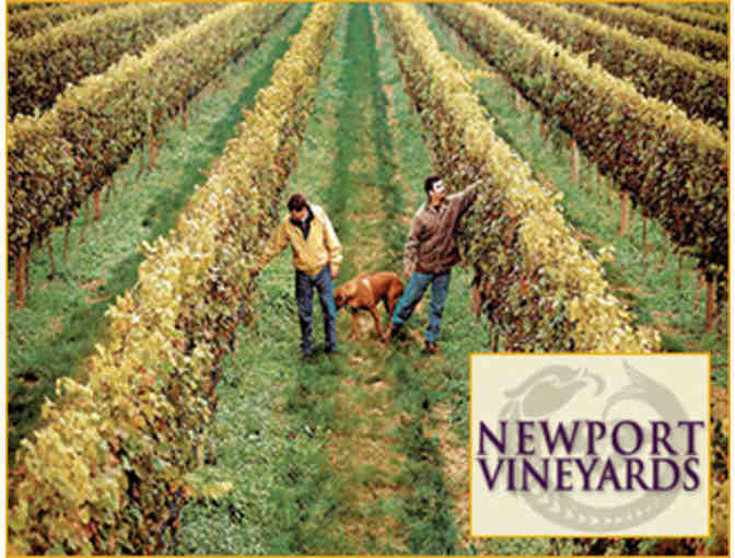 Tennis, Art, Wine and Treats in Newport County