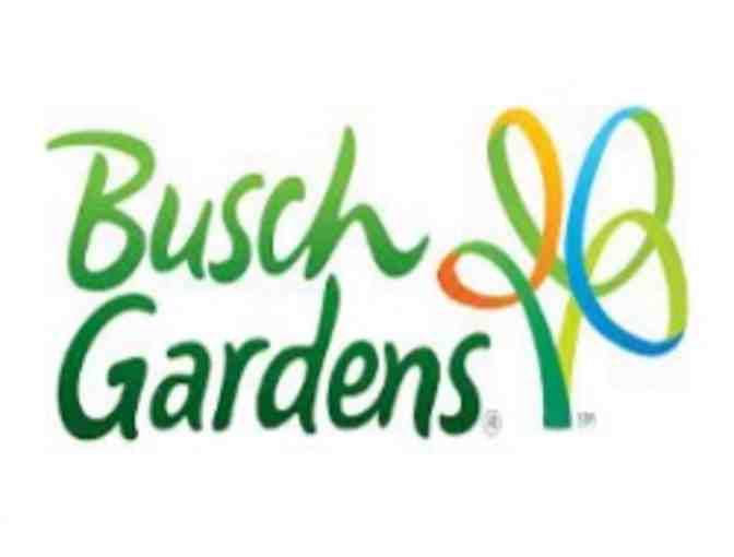 Four Disney World Hopper Passes and Four Busch Gardens Passes