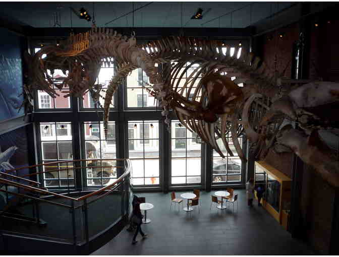 Greater New Bedford Trip: Whaling Museum, Frontera Grill, and Narrows Center for the Arts