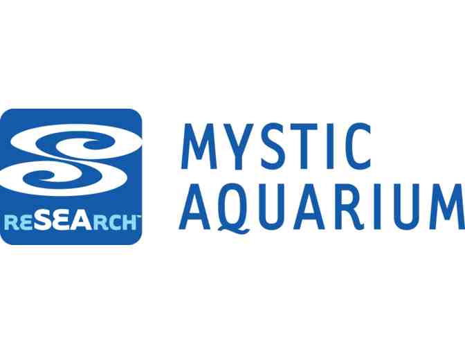 Mystic Aquarium and Dinner at Mohegan Sun