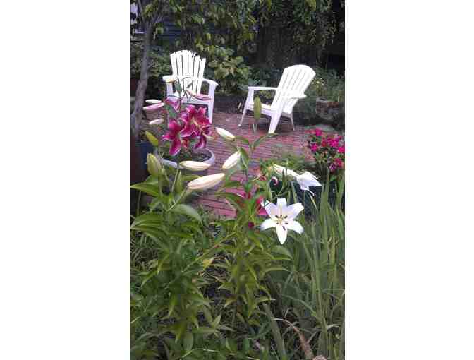 Gardening Consultation - Includes Perennials For Your Garden