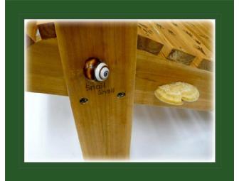 'Home for the Animals' by Karen Breternitz of the Chippewa Nature Center