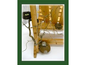 'Home for the Animals' by Karen Breternitz of the Chippewa Nature Center