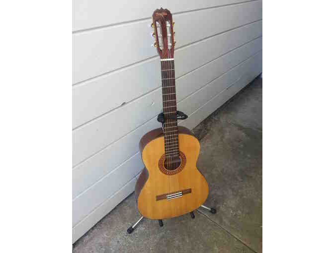 Sunlite GCN-2000F Classical (Nylon String) Acoustic Guitar (Used)
