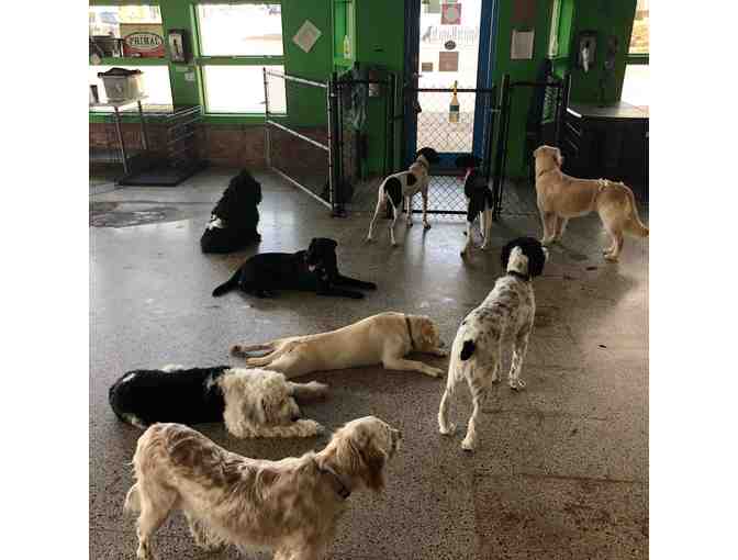 Spirit Ranch Professional Dog Training