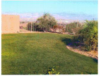 Vacation Home Rental near Las Vegas