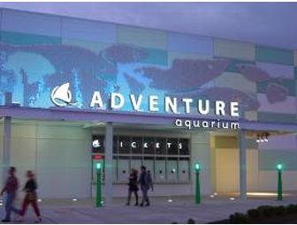 The Family Excursions Package