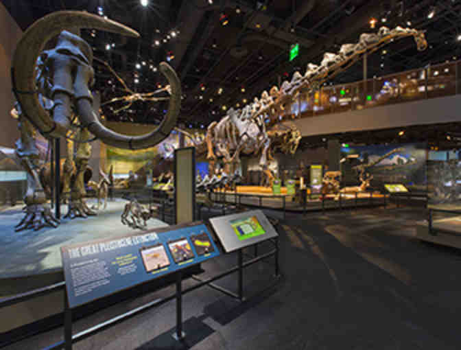 Perot Museum of Nature and Science Family 4 Pack