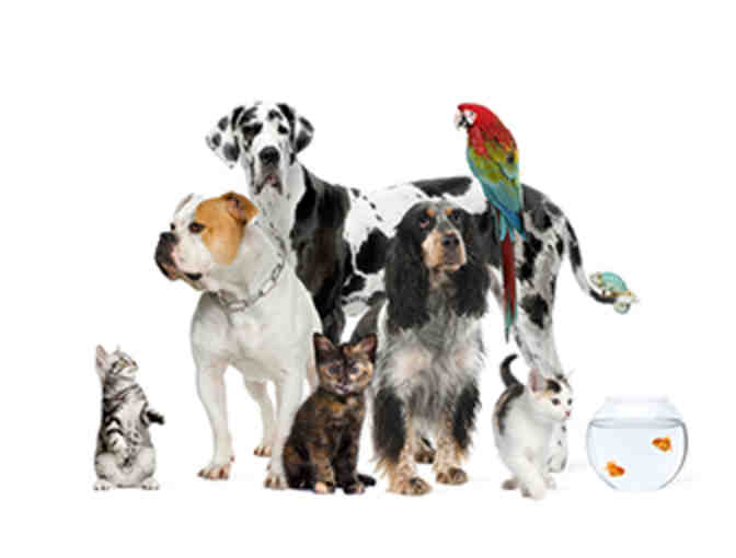 Prestigious Pets, LLC Gift Certificate for Pet Sitting