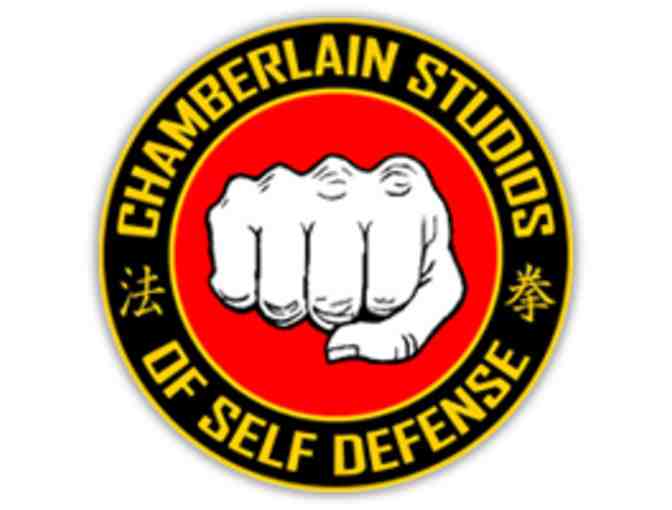 Chamberlain Studios of Self Defense - 1 Karate Birthday Party