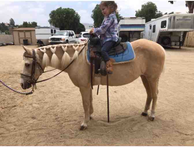(2) One Hour Private Horseback Riding Lessons in Norco - Photo 1