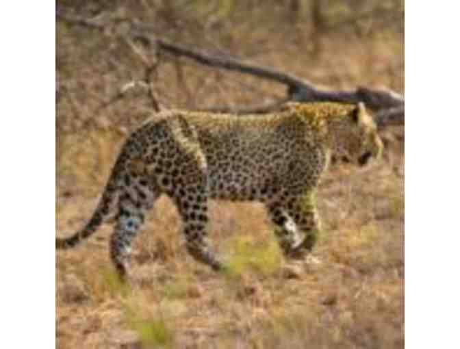6 Night Ezulwini Safari package for 2 guests