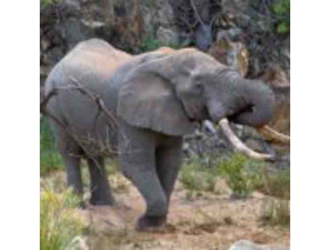 6 Night Ezulwini Safari package for 2 guests