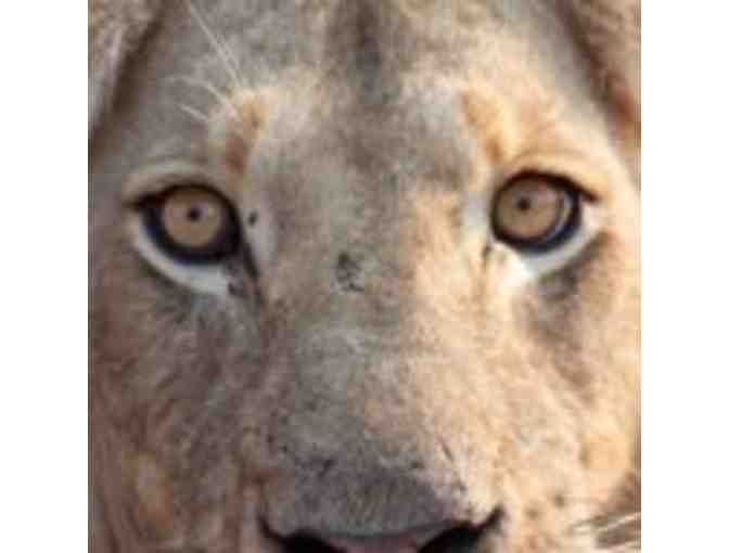 6 Night Ezulwini Safari package for 2 guests