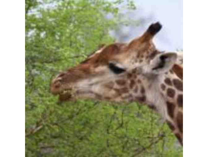 6 Night Ezulwini Safari package for 2 guests