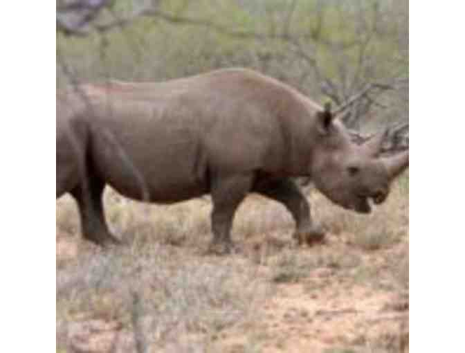 6 Night Ezulwini Safari package for 2 guests