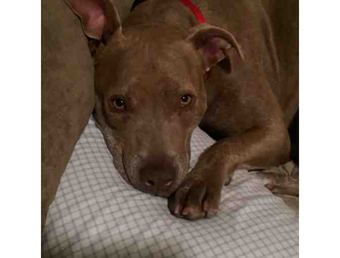 Movie Night Adventure with Alex & Judy - Spot Three of Ten