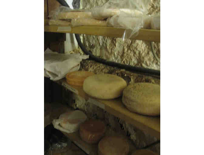 Formaggio Cheese Cave: See Where It All Began