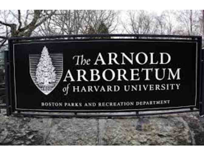 Private Tour of Arnold Arboretum