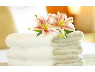Spa Towel Warmer